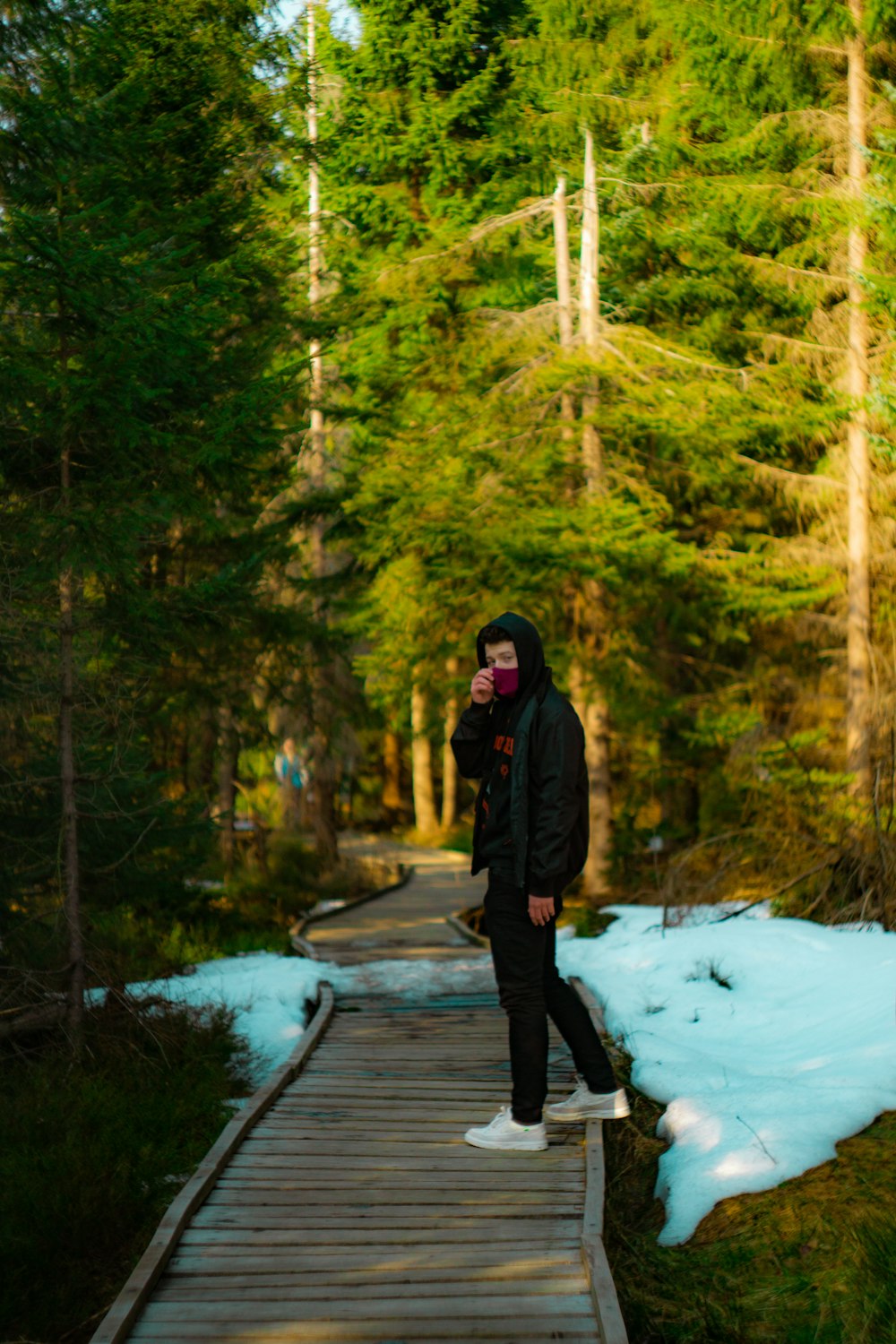 person in black jacket and black pants standing on snow covered ground surrounded by trees during