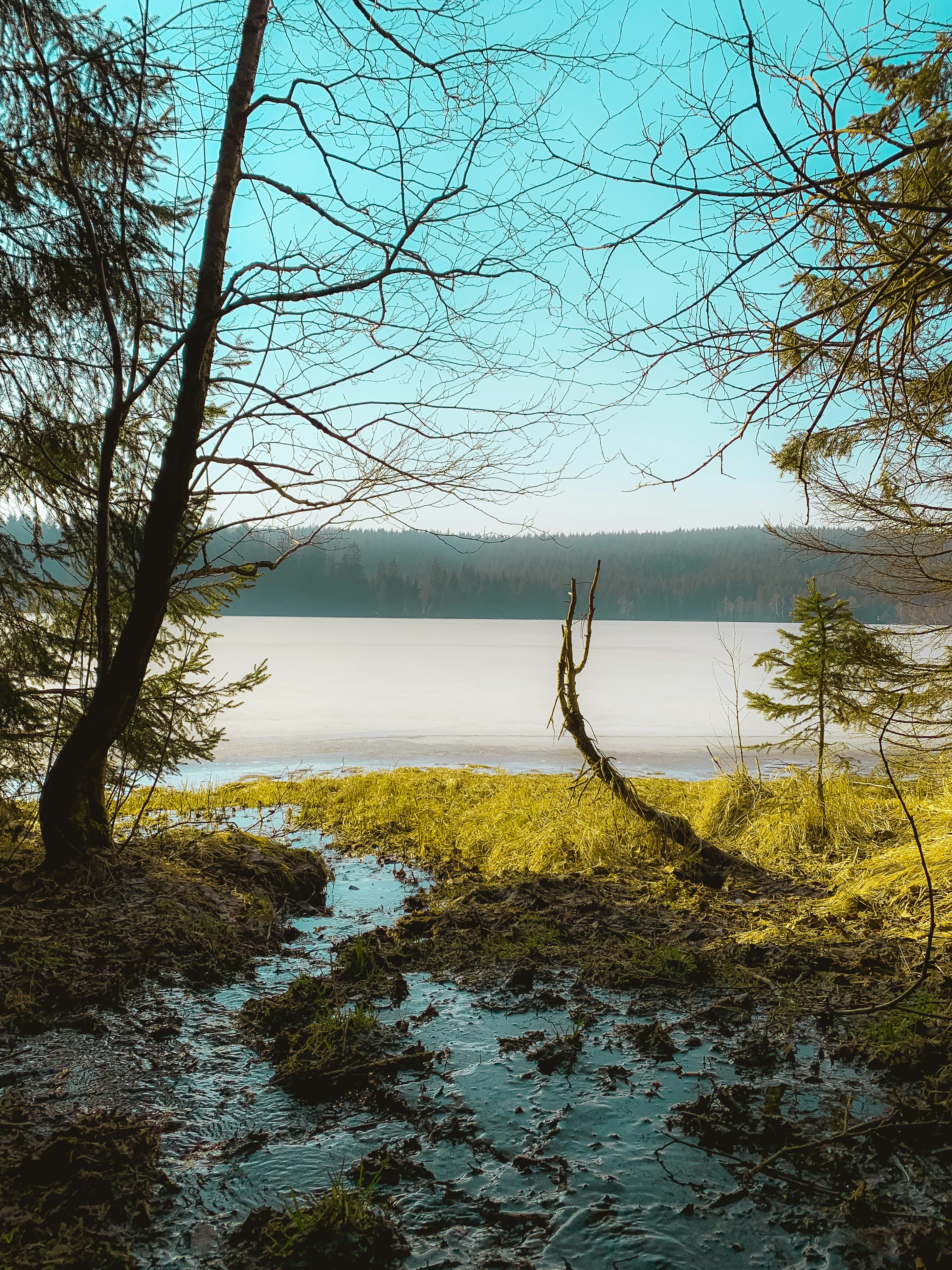 Photo by davidbenesph