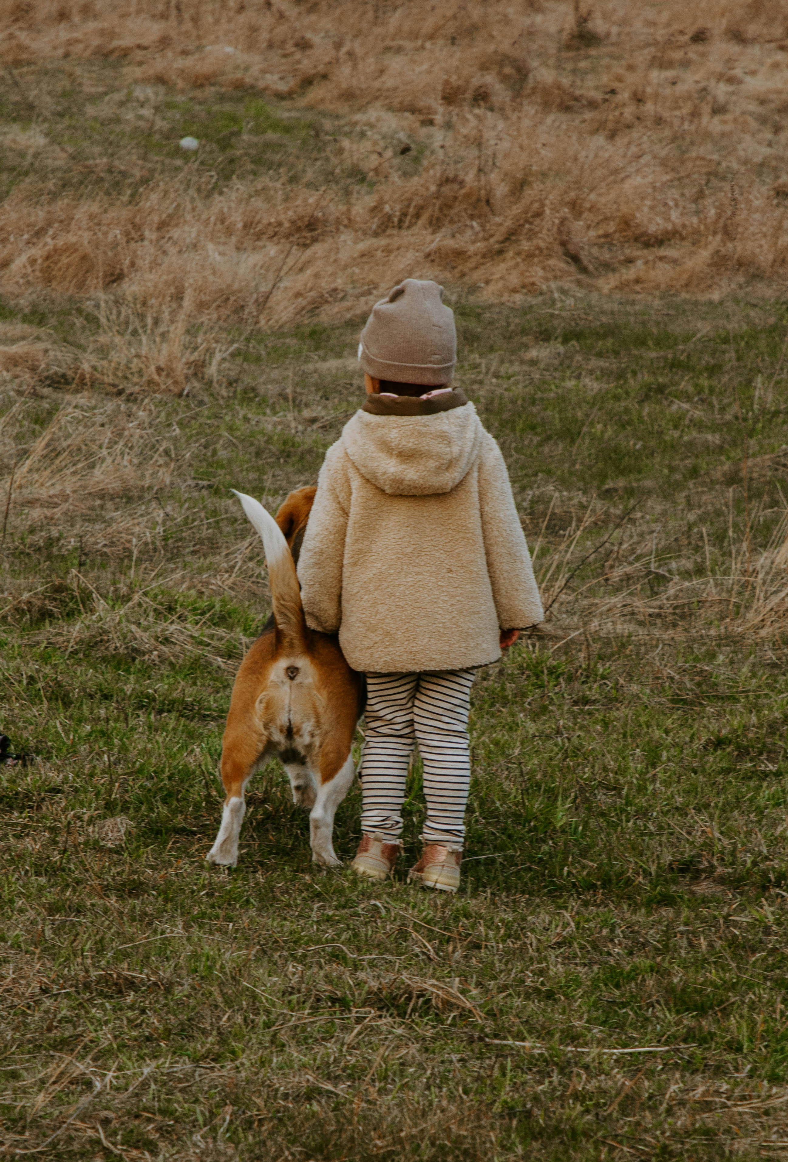 Photo by liubovilchuk