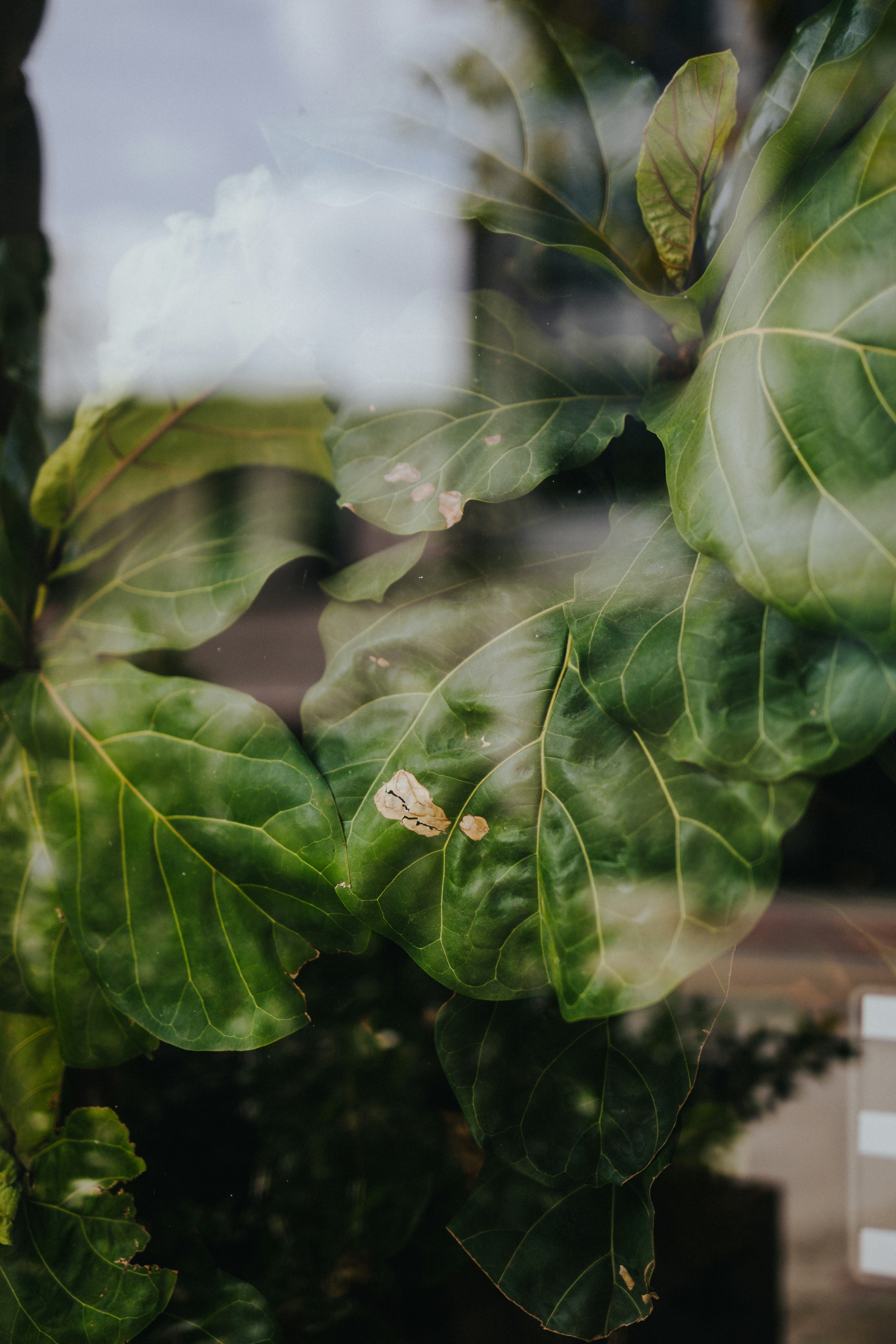 Photo by nate_dumlao