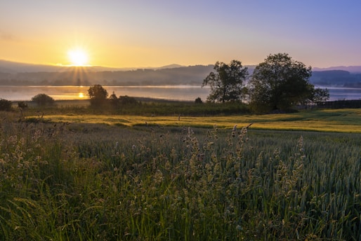 A serene landscape with a sunrise over a calm lake, symbolizing new beginnings and personal growth.