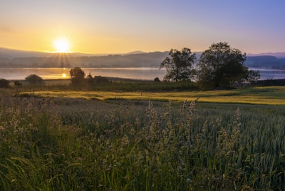 A serene landscape with a sunrise over a calm lake.