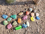 Colorful painted stones arranged as garden markers in a sunny flowerbed.