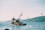 A fishing boat sails on a body of water, surrounded by seagulls in flight. The background features green, hilly terrain and power line towers. The atmosphere appears calm and serene, with sunlight casting gentle reflections on the water.
