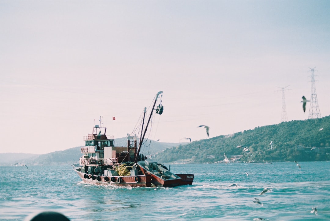 brown boat on body of water during daytime