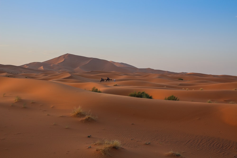 brown sand field during daytime