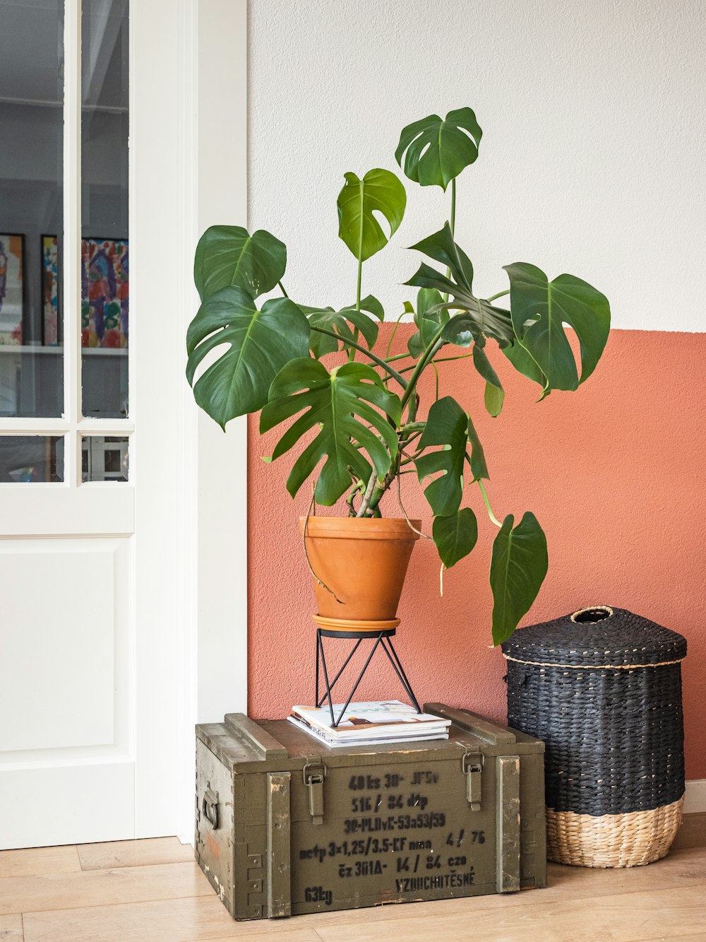 green plant on brown clay pot