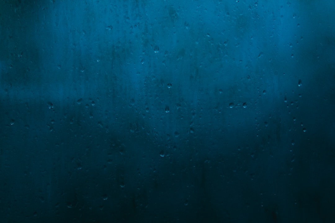 photo of São Paulo Underwater near Casa das Rosas