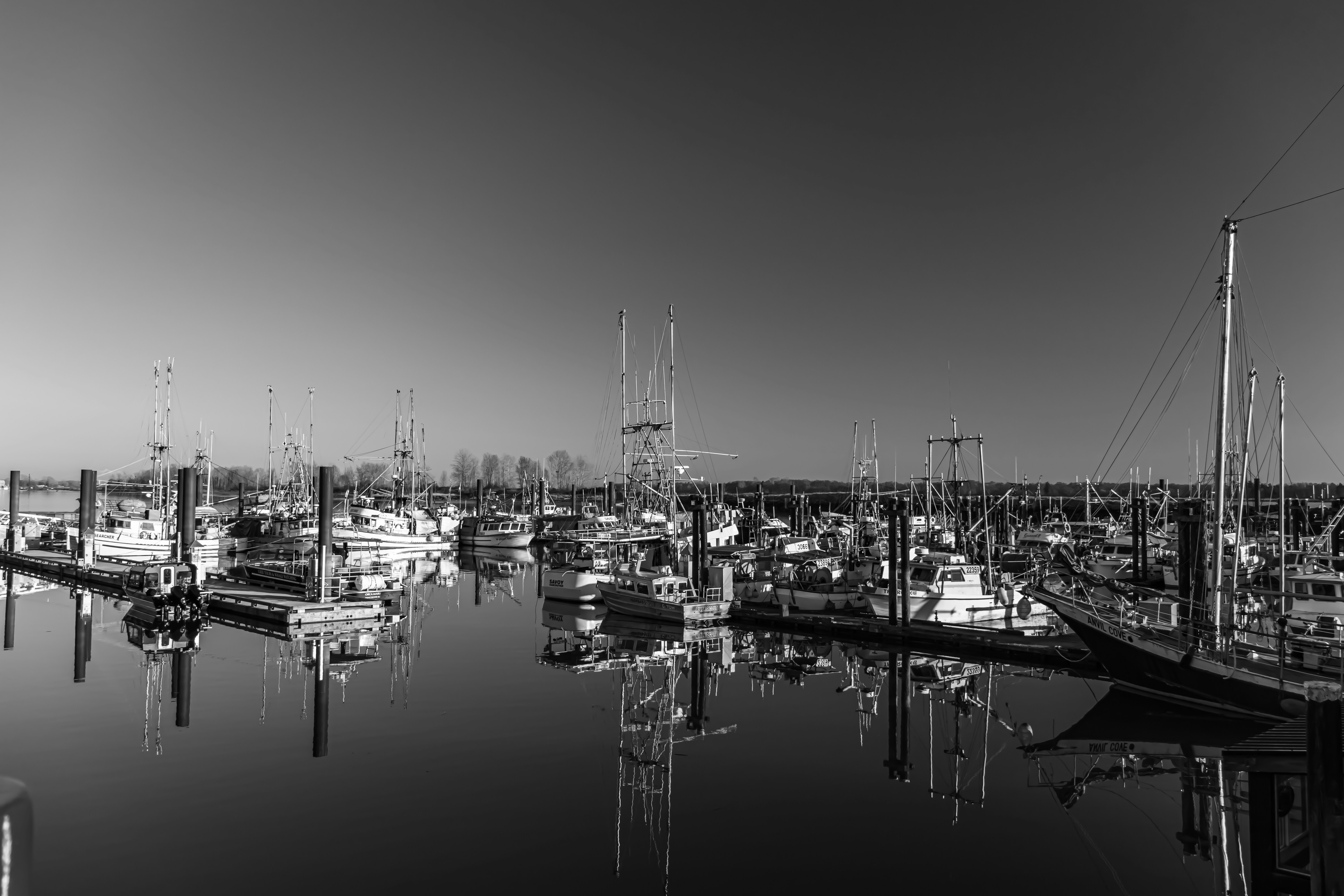 Photo by _staticvoid