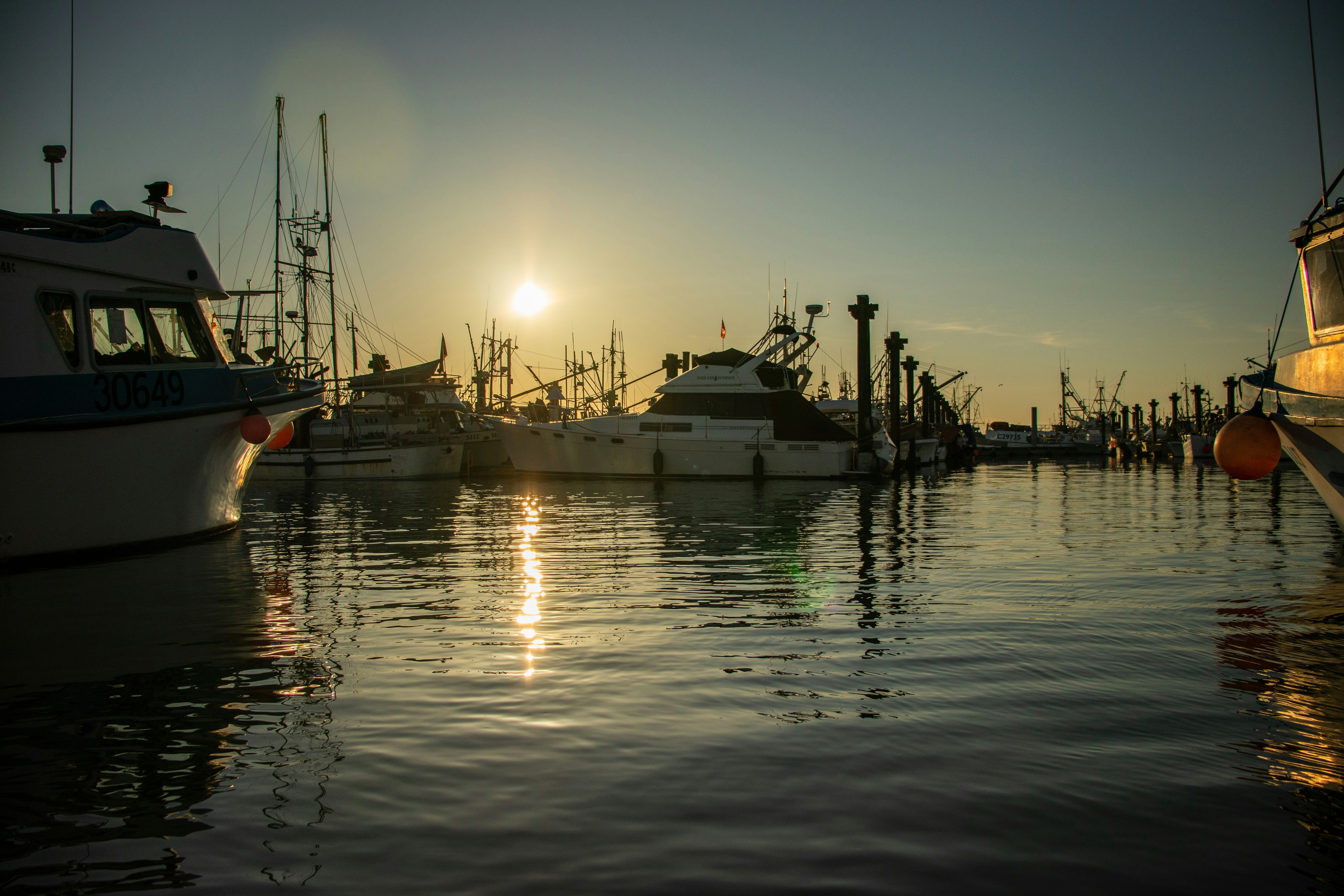 Photo by _staticvoid