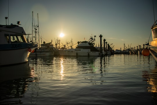 white and black boat on body of water during sunset in Steveston Canada
