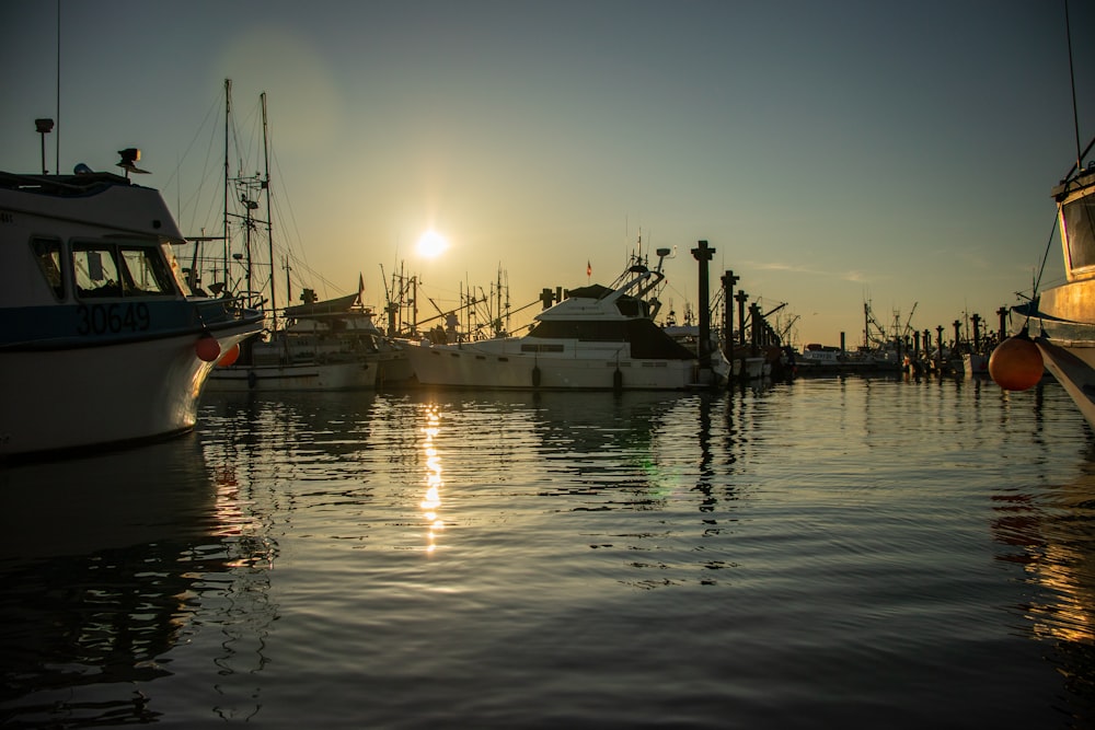 white and black boat on body of water during sunset