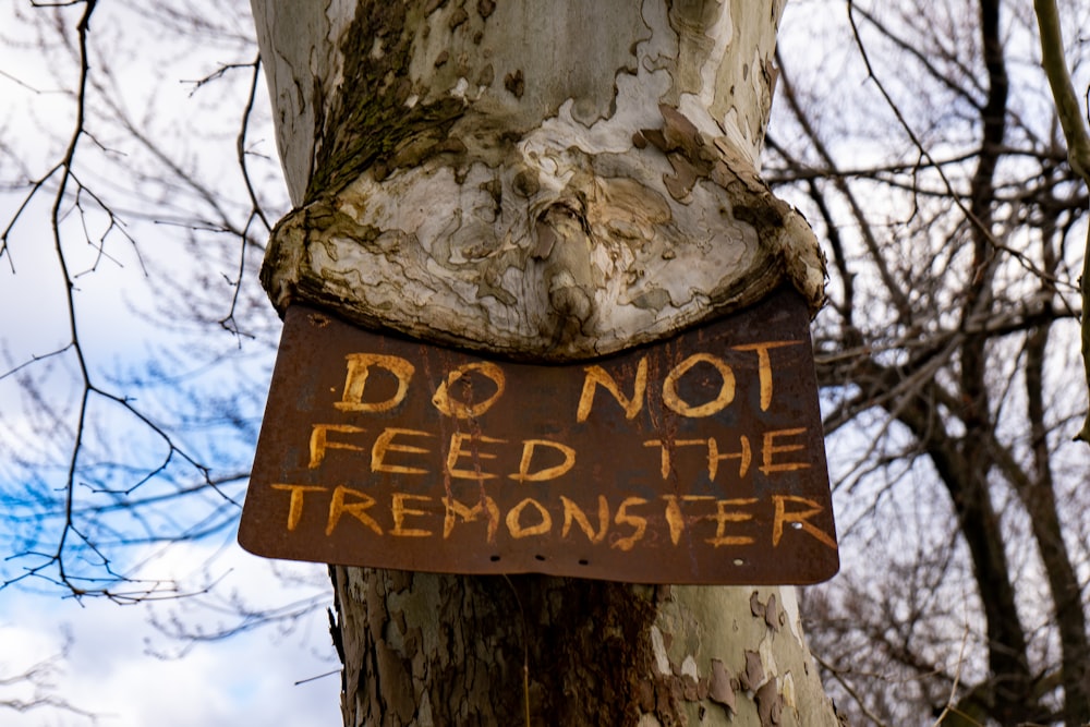 brown wooden signage on tree