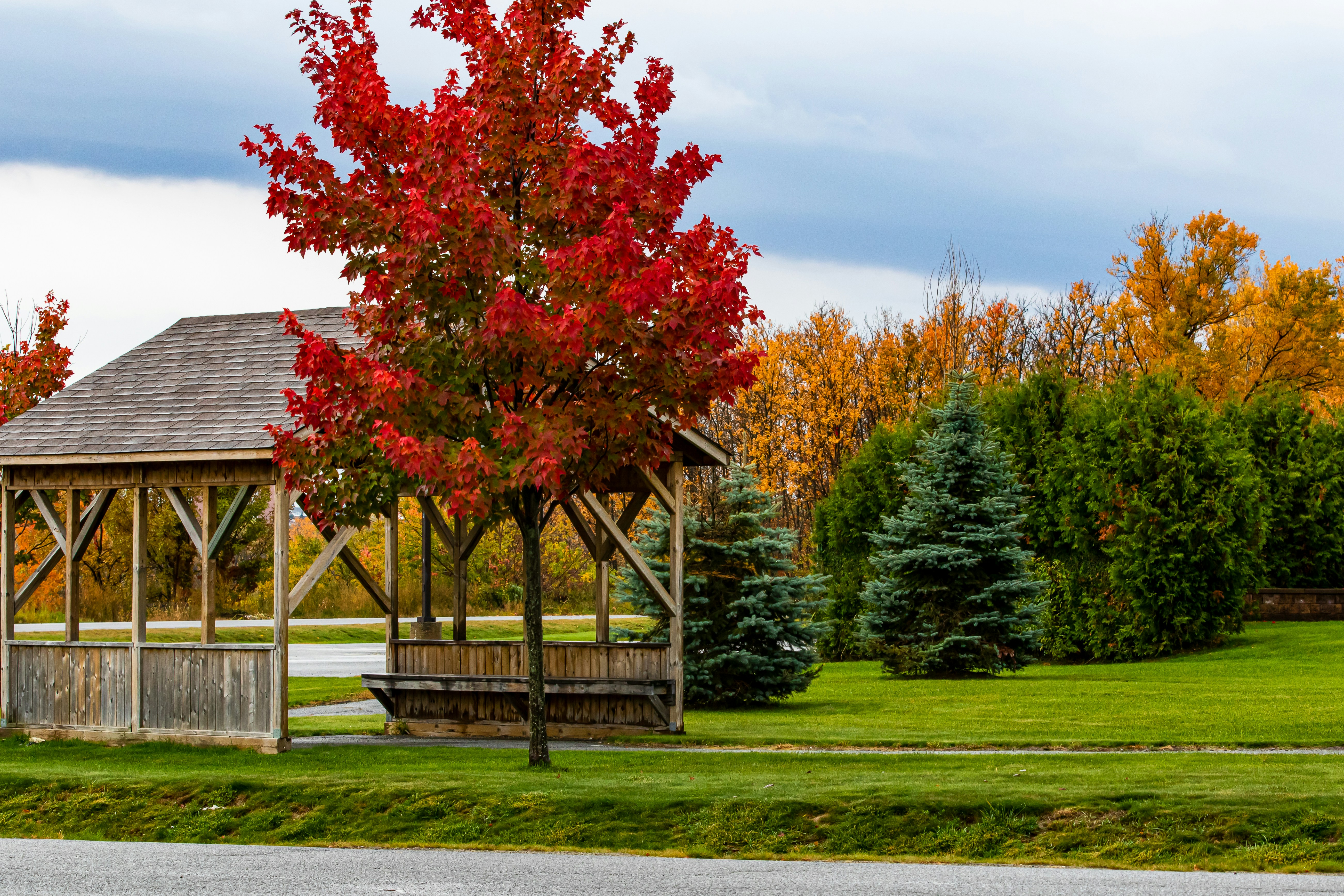 Photo by camerauthor