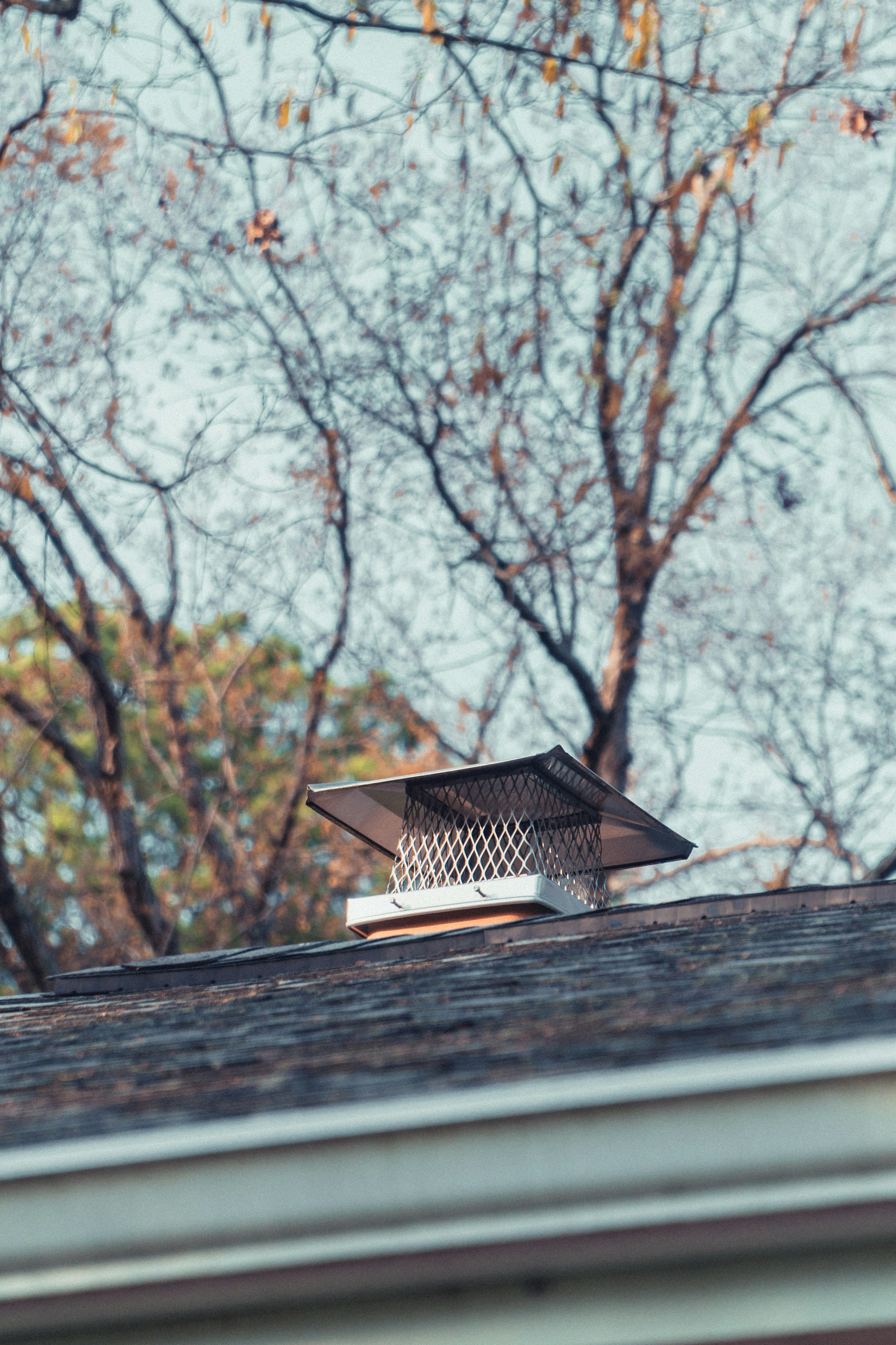 8 Roof Repair Tips for Scheduling Repairs After Storms
