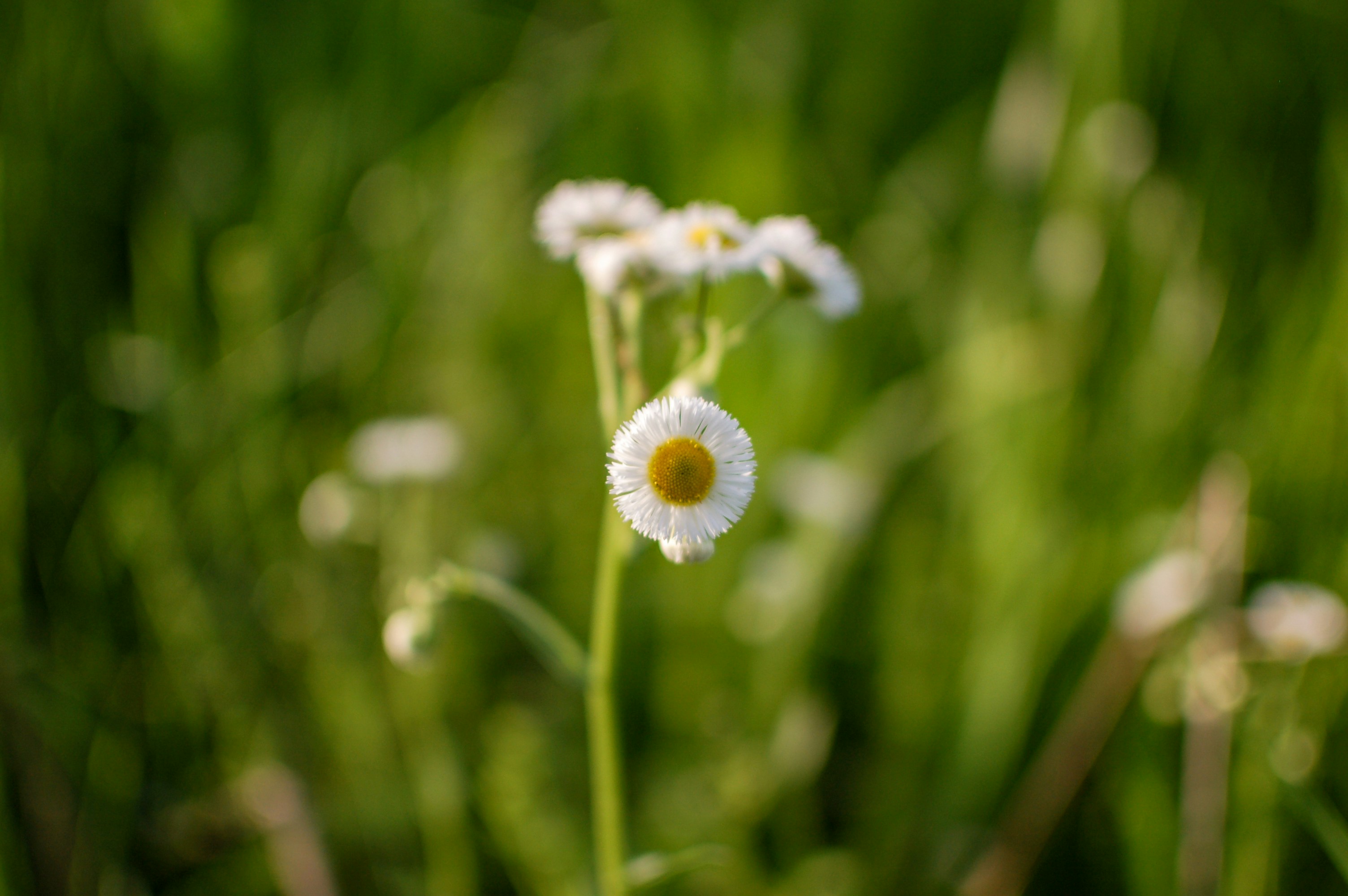 Photo by gabrielrana