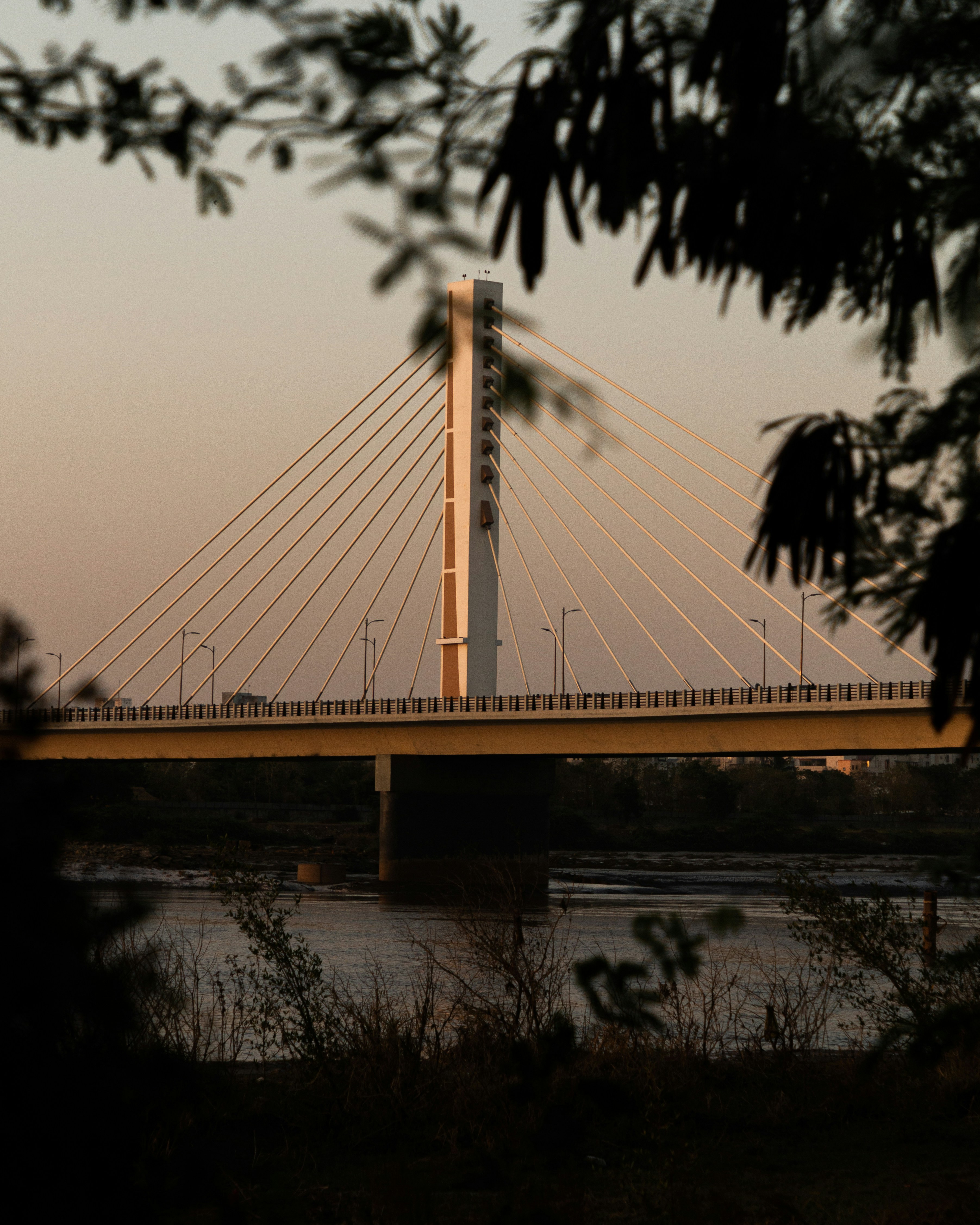 Photo by adarshbala