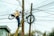 A worker is on a ladder fixing a complex network of electrical wires on a utility pole. The pole is surrounded by numerous tangled cables. The worker is wearing a hard hat and reflective vest, indicating safety precautions. Parts of a building and trees are visible in the background.