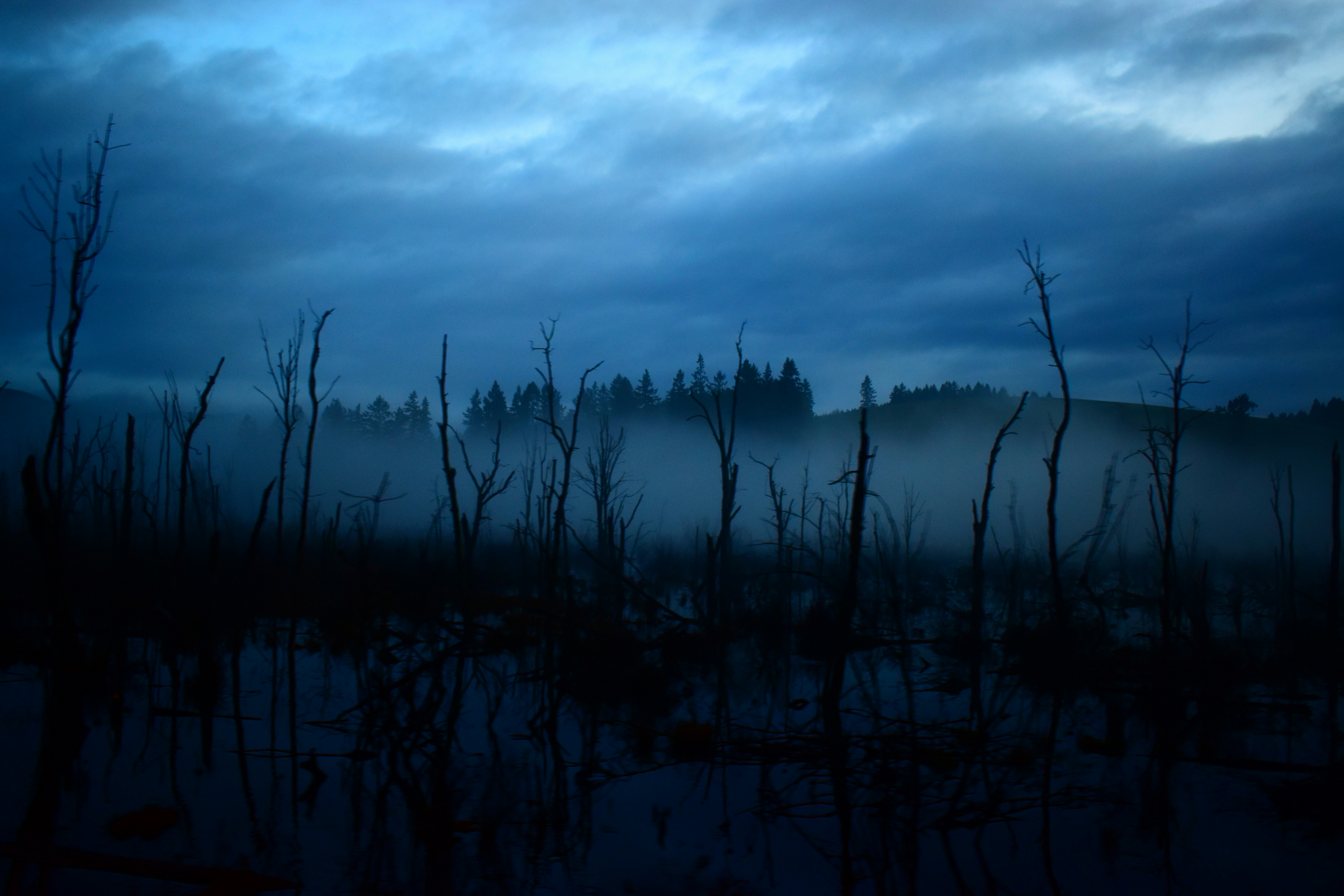 Photo by pictures102