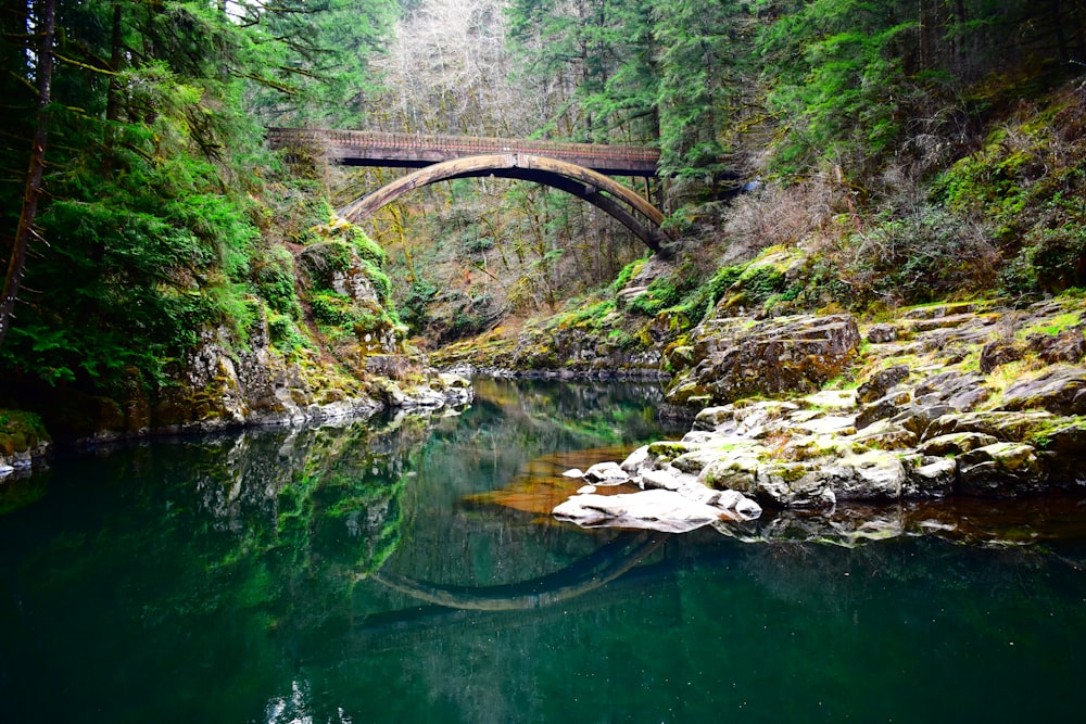 brown wooden bridge over river