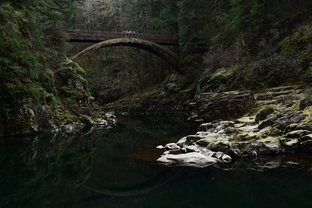 brown wooden bridge over river