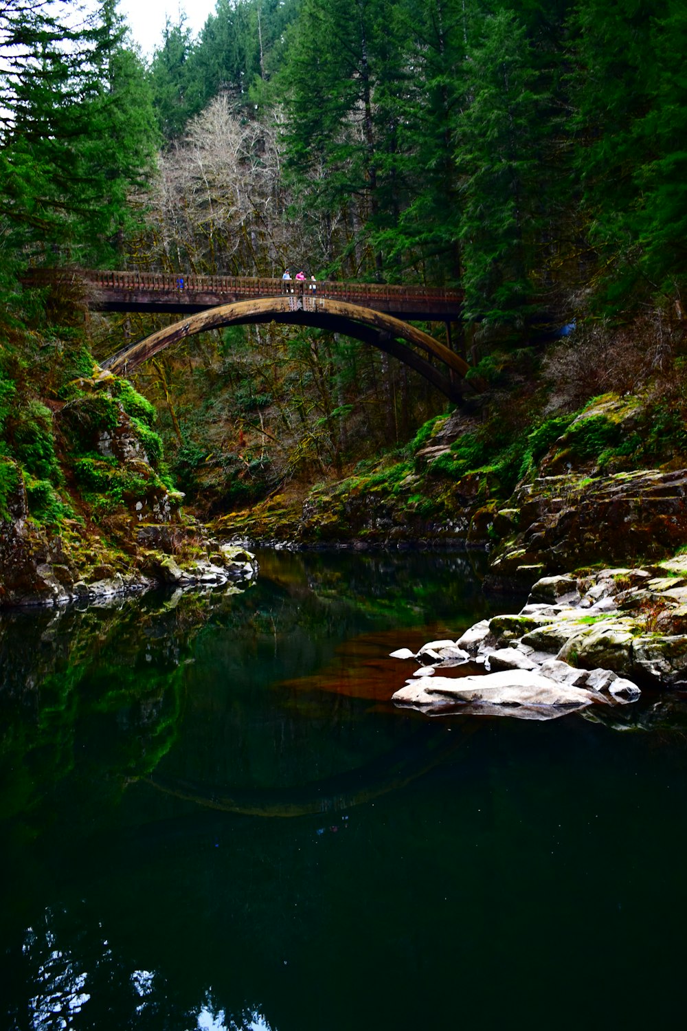 brown wooden bridge over river