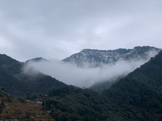 green mountains under white clouds during daytime in Jim Corbett National Park India