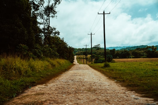 brown dirt road between green grass field under white clouds and blue sky during daytime in San Ignacio Belize