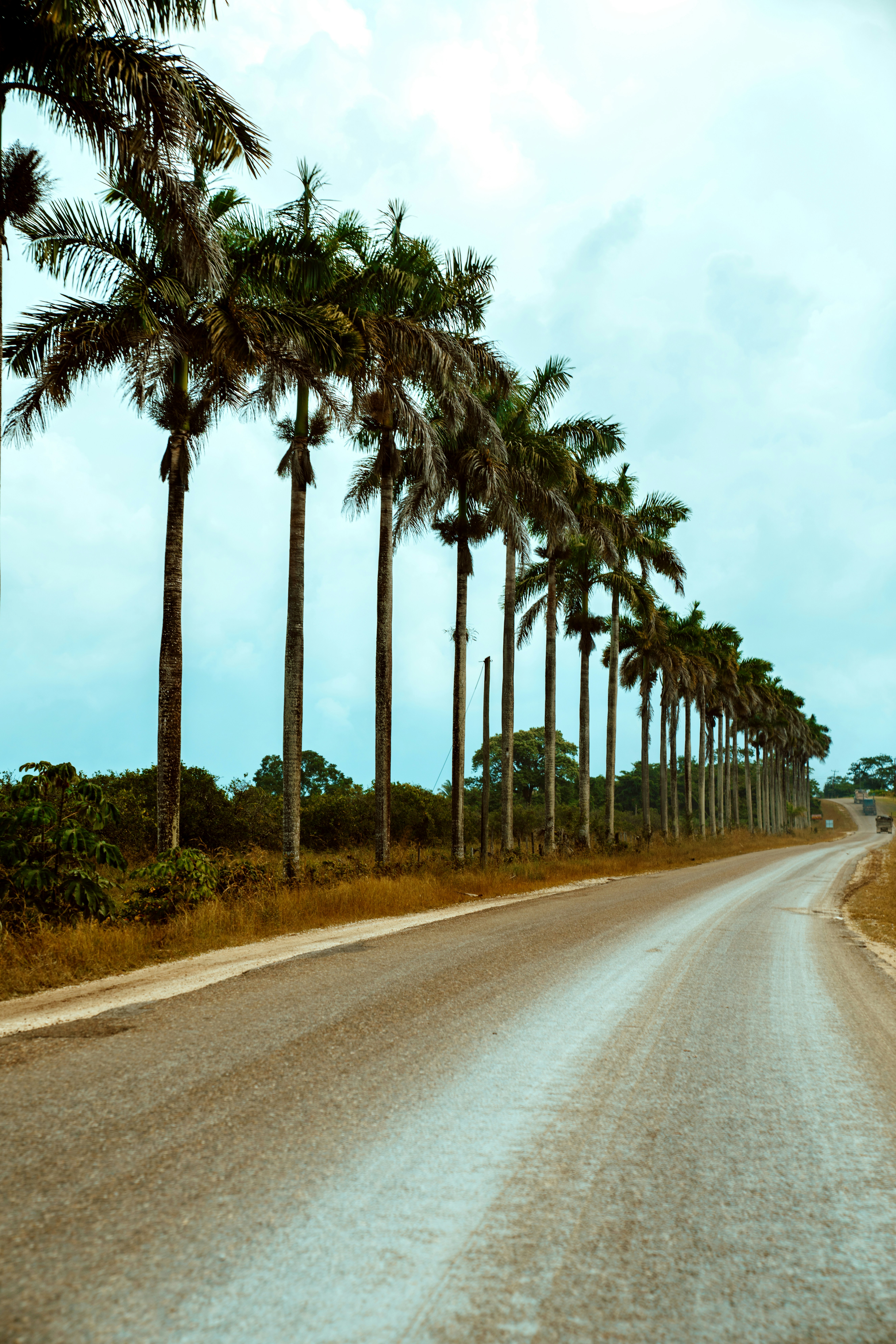 Photo by merittthomas