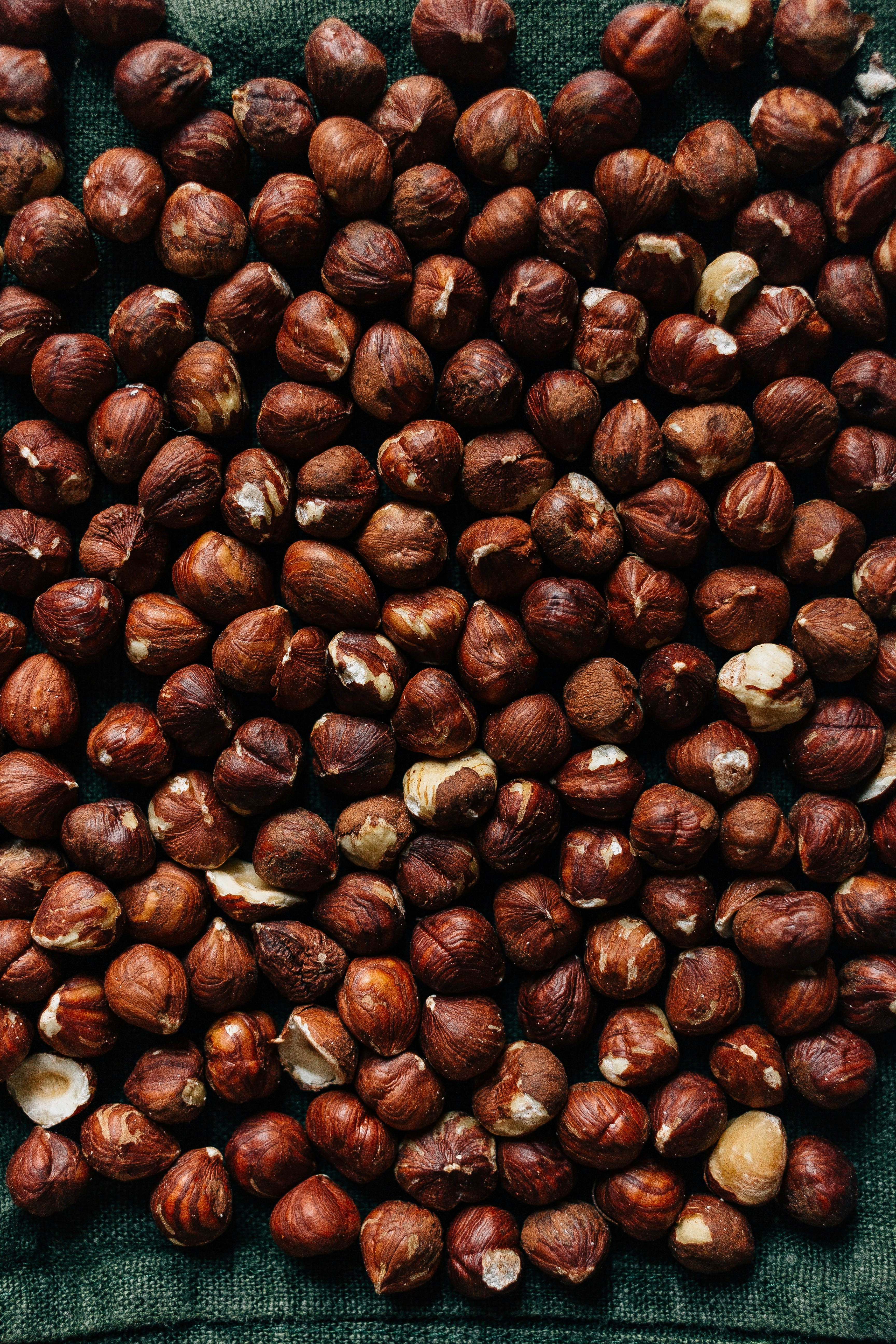Premium Bulk Hazelnuts Supplier