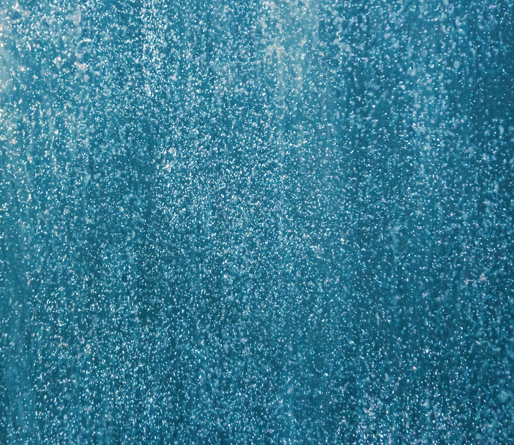 blue and white fleece textile