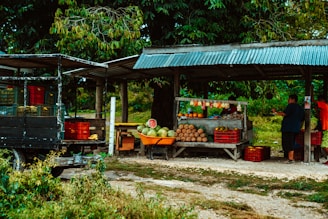 fruits on brown wooden table under blue canopy tent during daytime