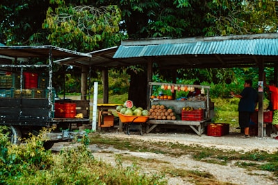 fruits on brown wooden table under blue canopy tent during daytime