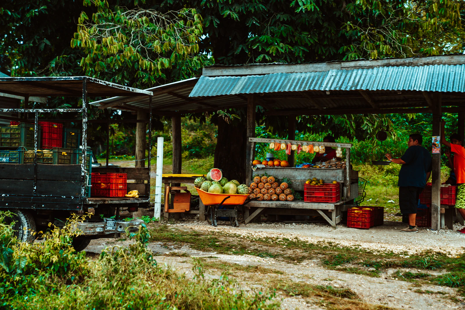 Fruit crates under a blue canopy at a market stall