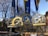 Three Boston Marathon medals are hanging against a backdrop of a clear blue sky and bare trees. Each medal features a unicorn emblem and the words 'Boston Athletic Association.' The medals are adorned with blue and yellow ribbons, showcasing different years of the marathon events.