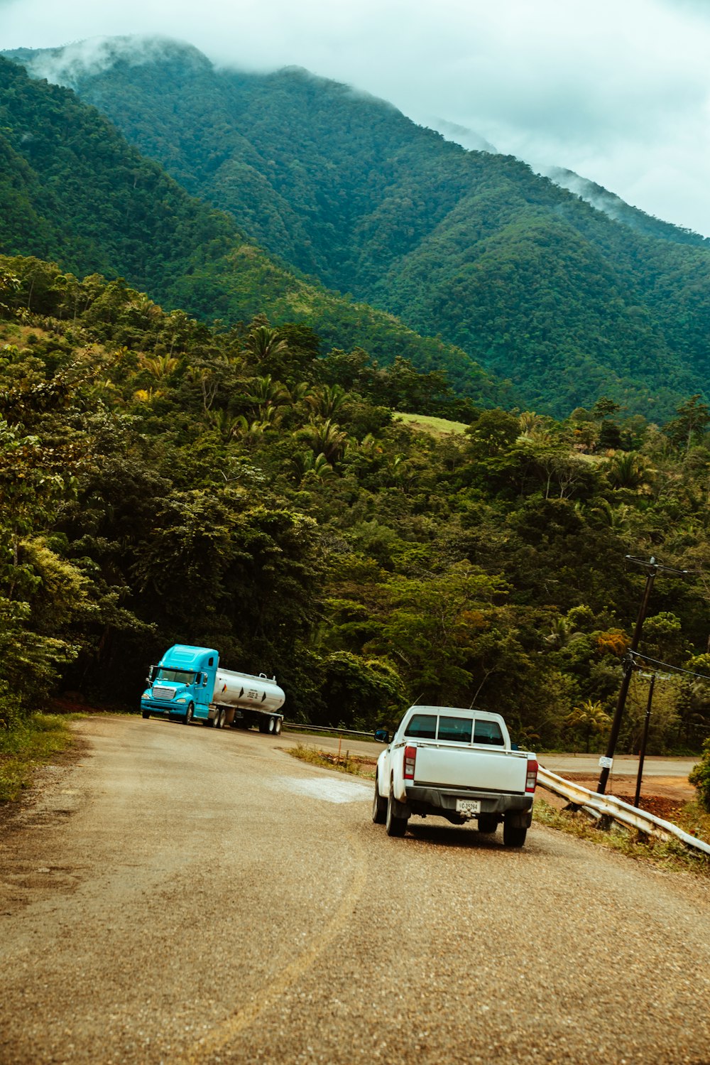 white van on dirt road near green trees during daytime