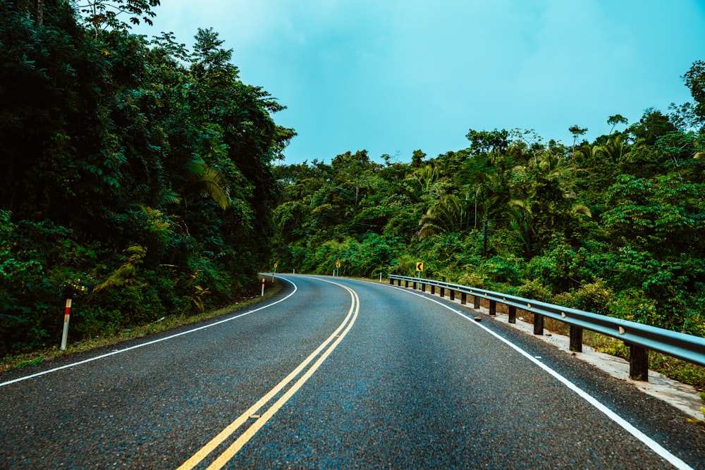 gray concrete road between green trees under blue sky during daytime