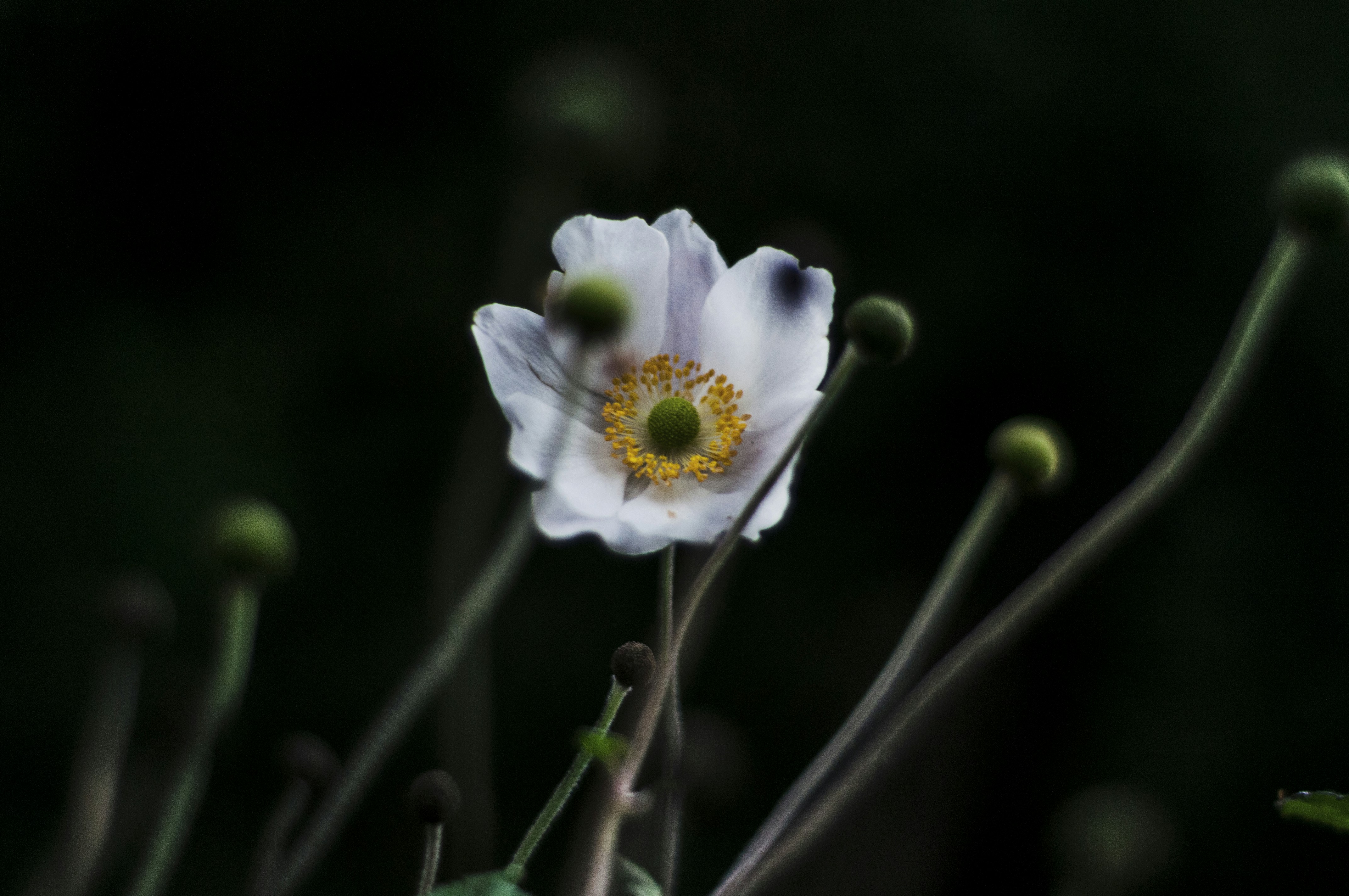 Photo by alexthehills