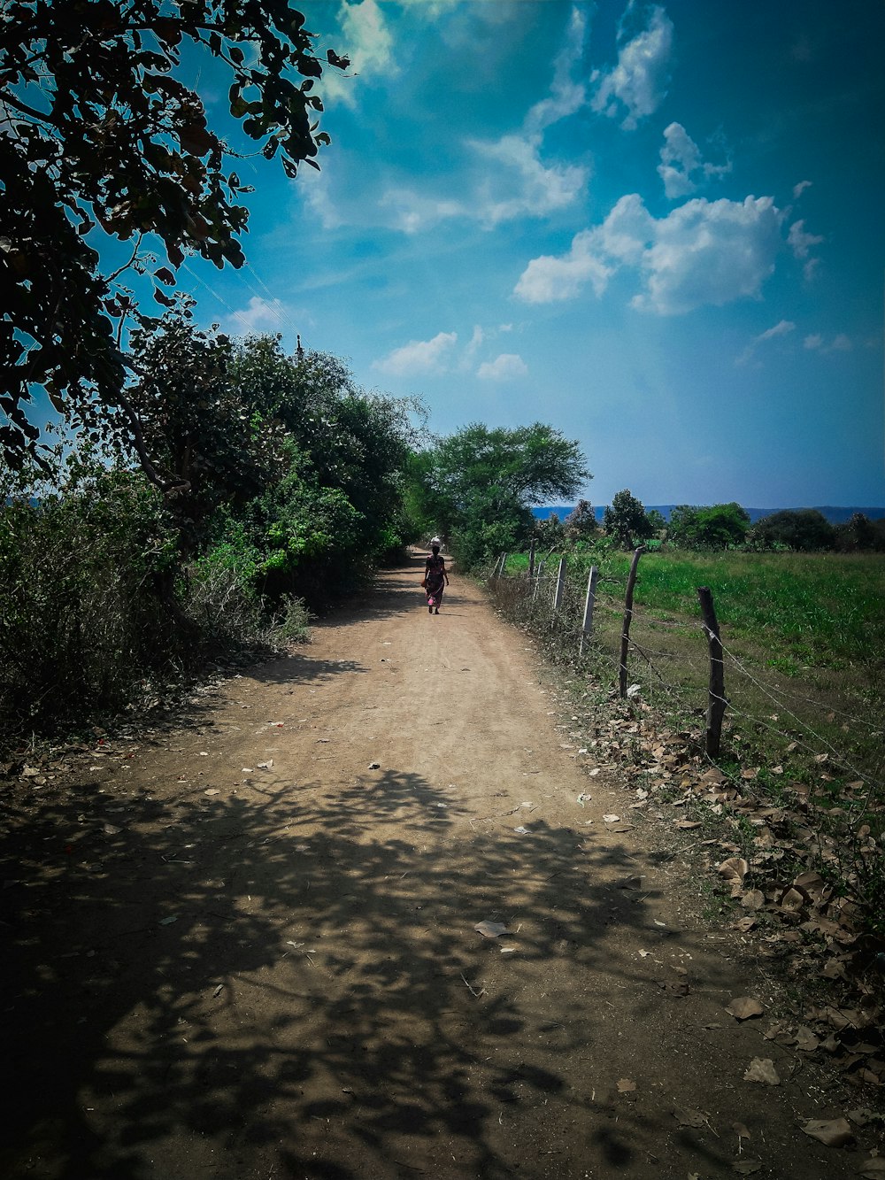 people walking on dirt road between green grass field under blue sky during daytime