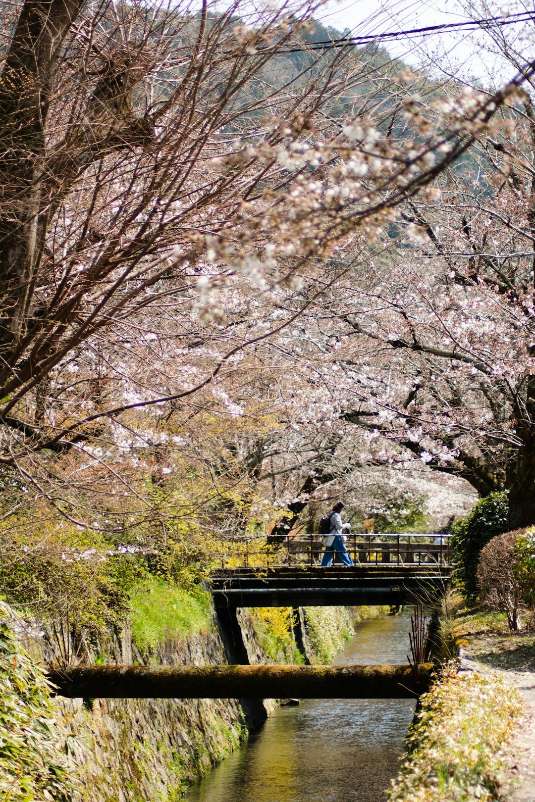 travelers stories about Waterway in Kyoto, Japan