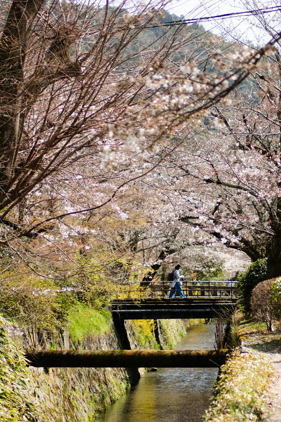 Waterway photo spot Kyoto Japan