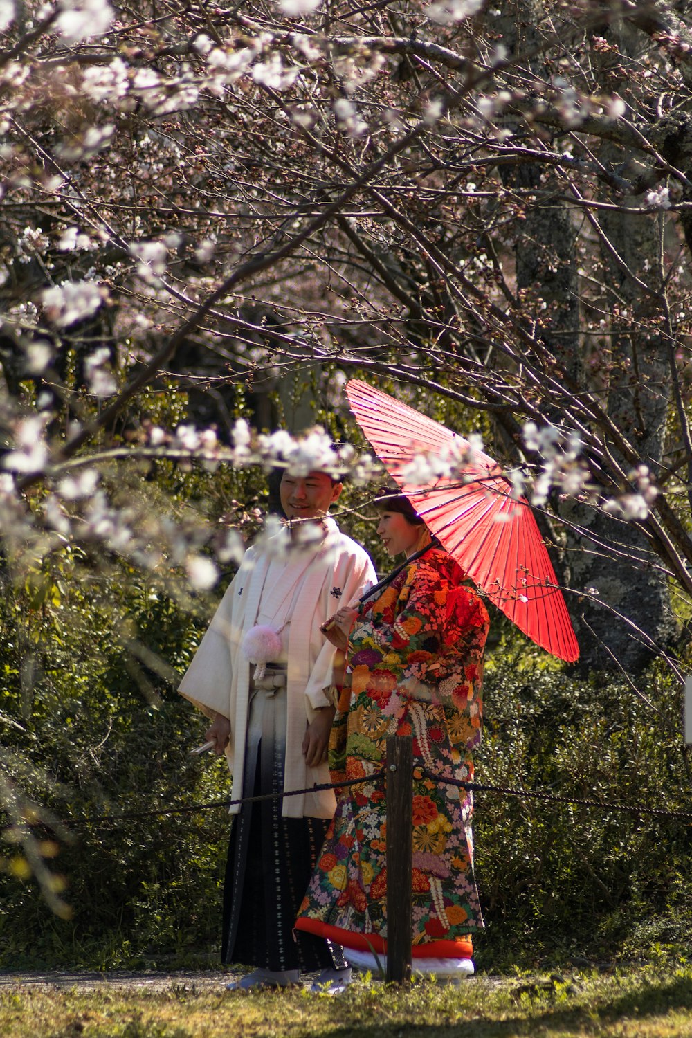 woman in white and red kimono holding umbrella standing under tree during daytime