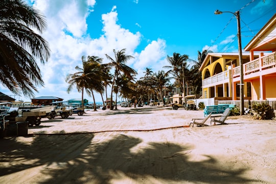 palm trees near white and brown concrete building under blue sky during daytime in Ambergris Caye Belize