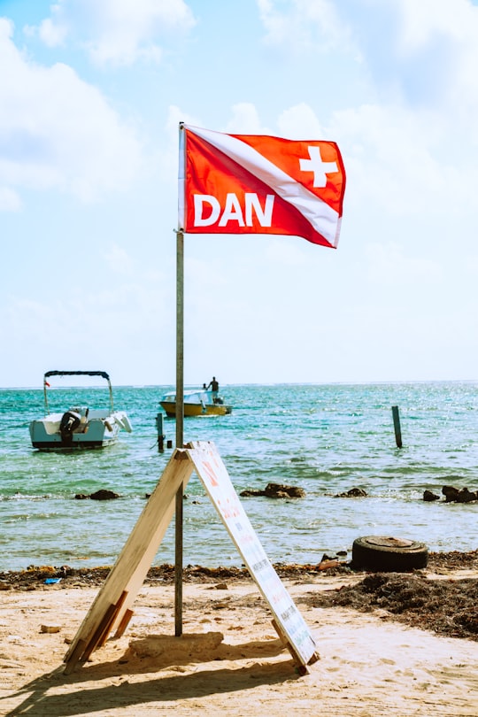 people sitting on brown wooden bench near body of water during daytime in Ambergris Caye Belize