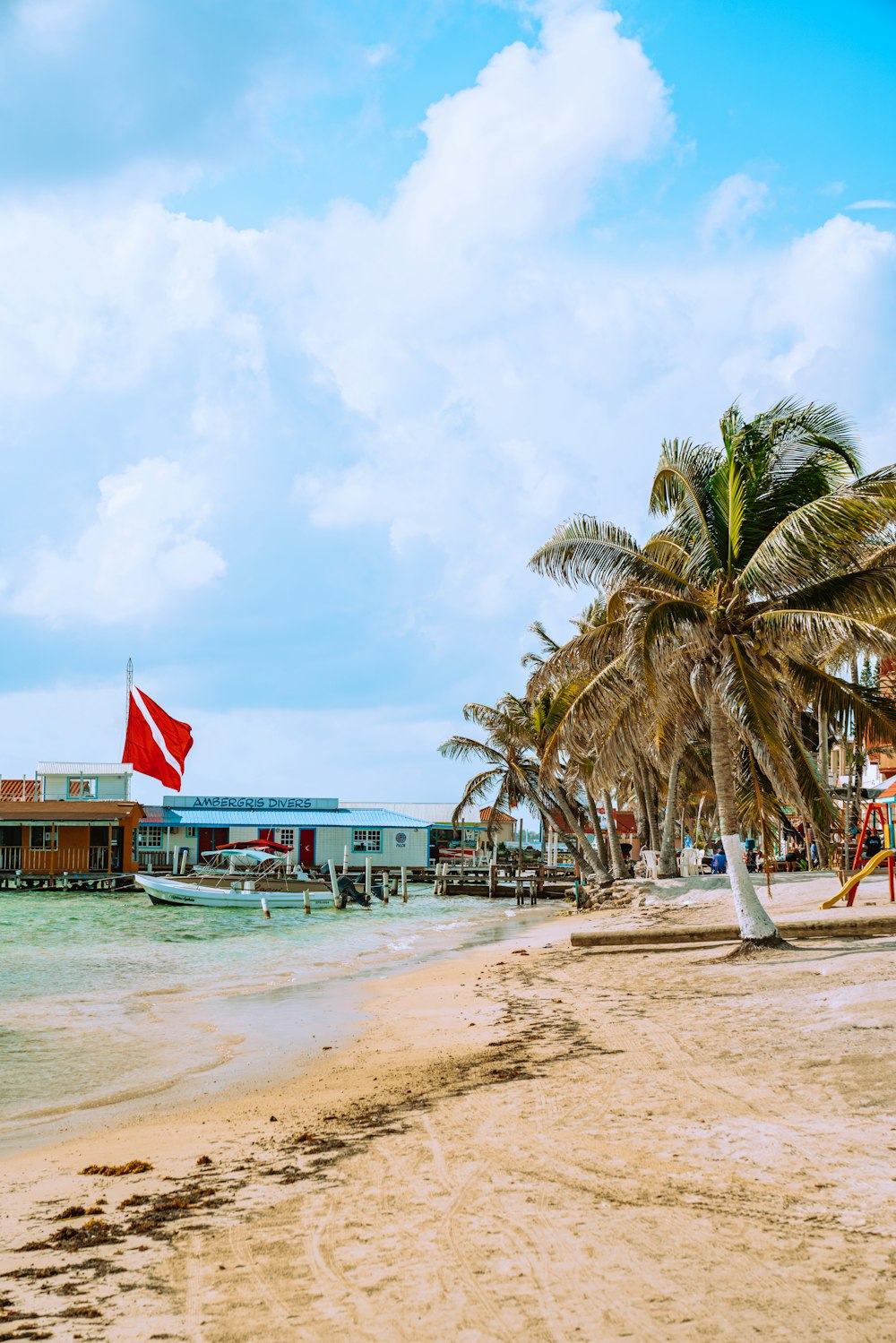 people on beach during daytime