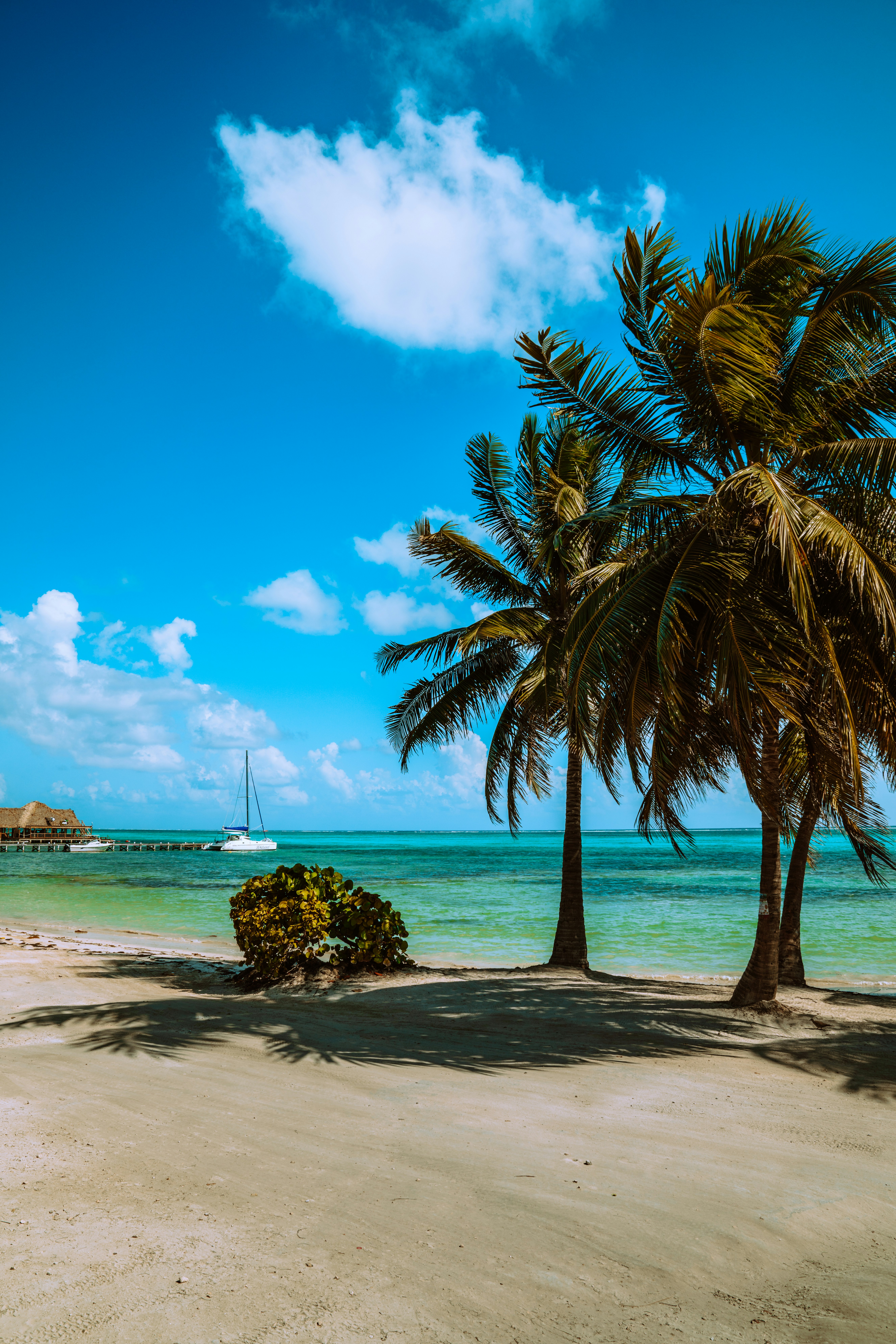 Photo by merittthomas