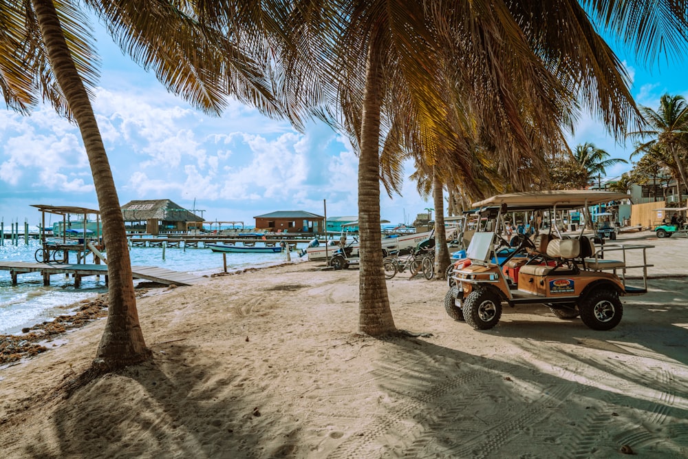 Auto rickshaw blanco y negro cerca de la playa durante el día