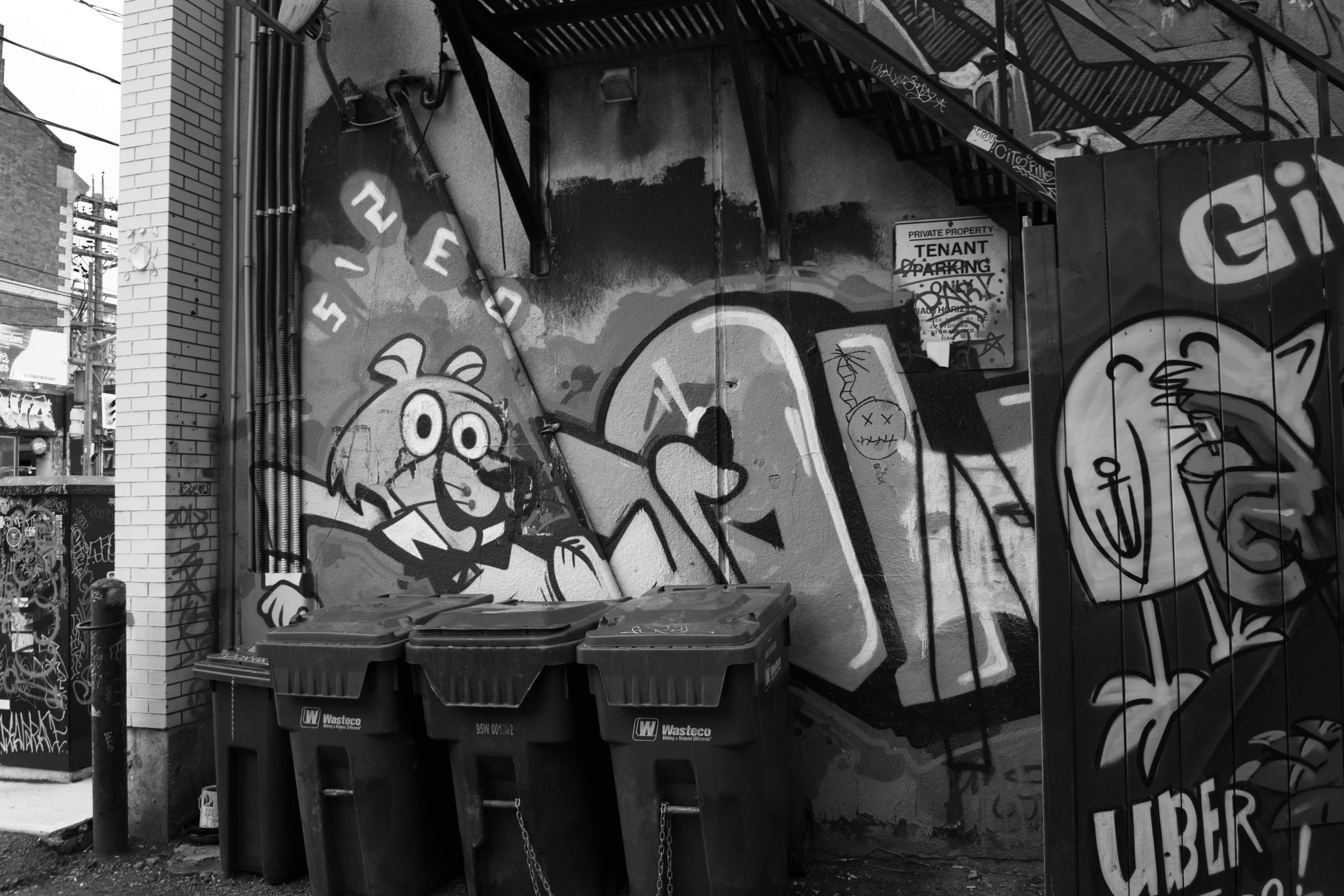 Photo by flummoxraccoon