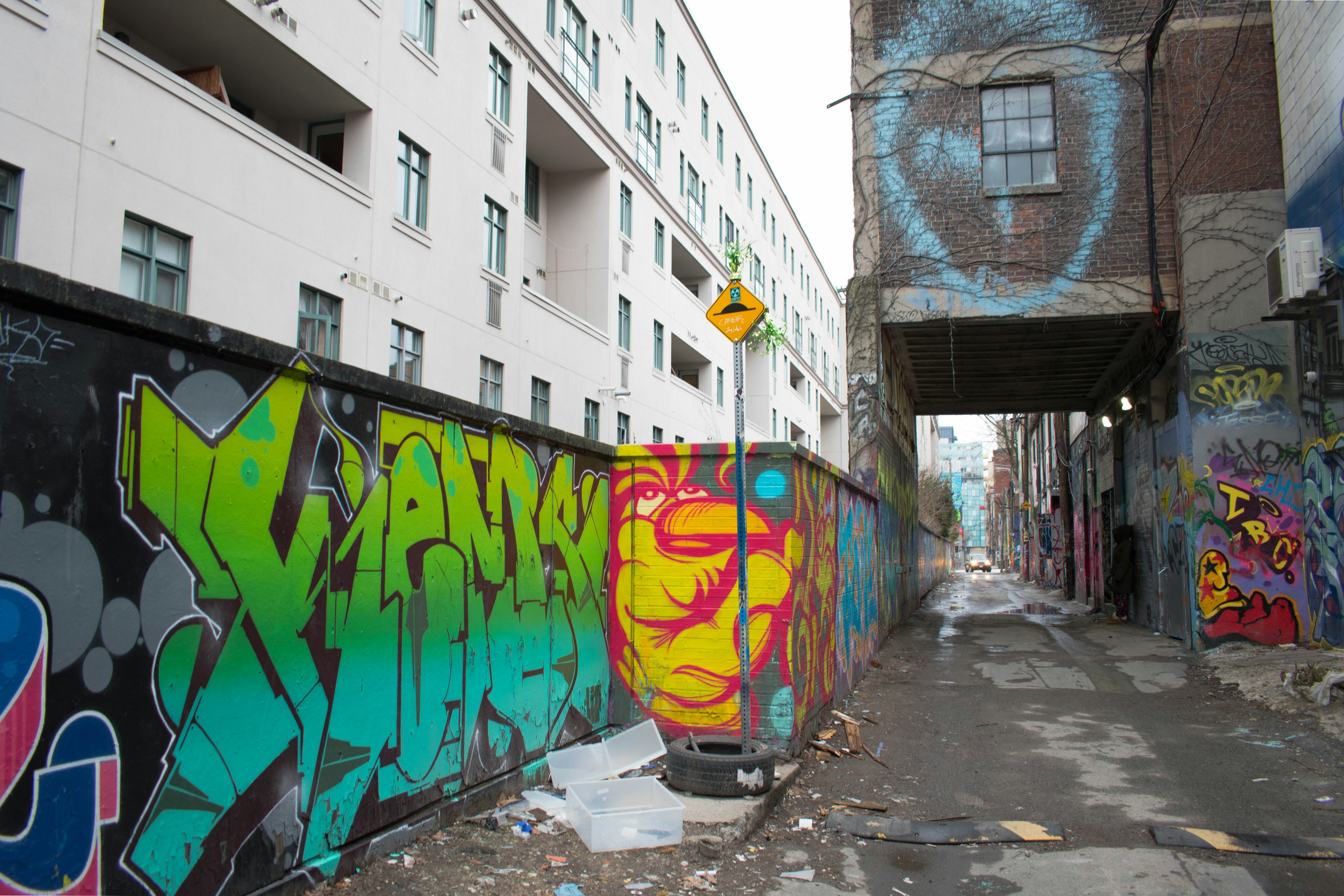 Photo by flummoxraccoon