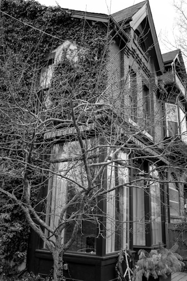 A black and white image of a house exterior partially covered in ivy. The architecture features large windows with curtains visible inside and a gabled roof. In front of the house, there is a bare tree with twisting branches that adds texture to the scene.